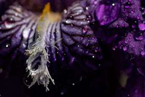 梦见跳降落伞(梦见跳伞、降落伞有什么预兆)