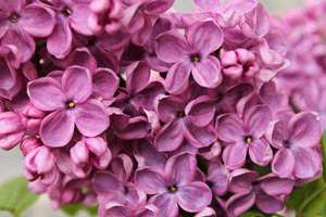 梦见被乌龟咬了(梦见被乌龟咬是什么意思啊)