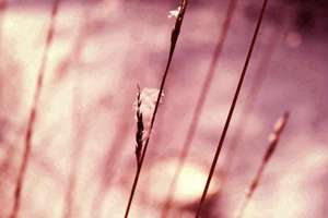 梦见蓝色的大海(梦见蓝色的大海有什么预兆)