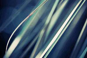 梦见自己开膛破肚(周公解梦梦到开膛破肚是什么意思)