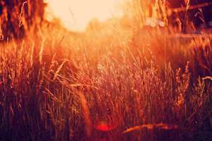 梦见龙雕像(梦到龙雕像会是什么预兆)