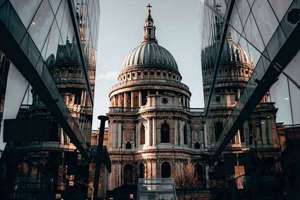 梦见种洋(梦见了栽洋芋是什么意思)